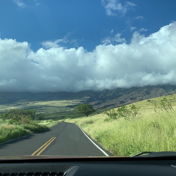 Meet your Posher, Angi - Picture 1 of 1